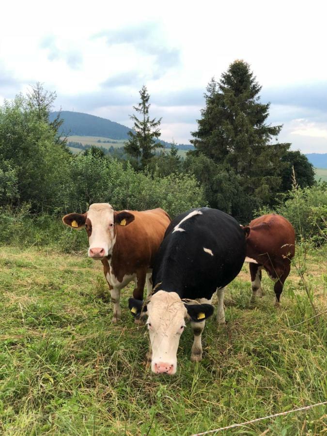 Rekreacny Dom Sablatura Villa Zuberec Eksteriør billede